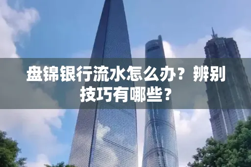 盘锦银行流水怎么办？辨别技巧有哪些？